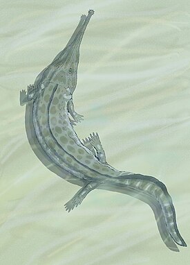 Prionosuchus plummeri