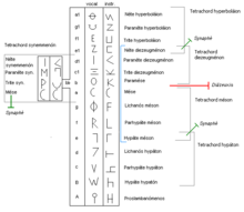 Systema-teleion-english.png