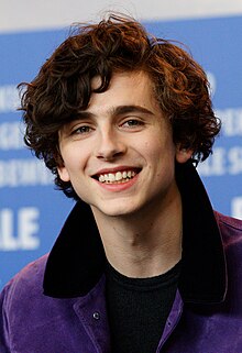 A photograph of Timothée Chalamet attending the 67th Berlin International Film Festival in 2017