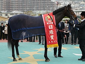 2011年冠軍「邁向輝煌」