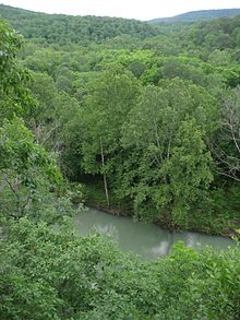 Buffalo River trail.jpg