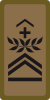 OR-7b - Chief sergeant major