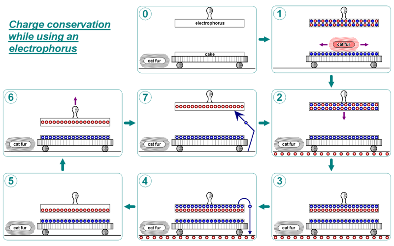 File:Electrophorus cycle en.png