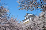 Miniatura para Castillo Tsuyama