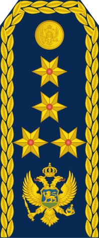 File:19-Montenegro Air Force-GEN.svg