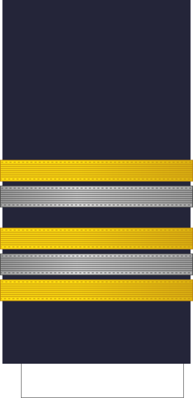 File:France-Airforce-OF-4 Sleeve.svg