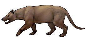 Реконструкция внешнего вида Hyaenodon gigas