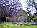 onto something a bit happier. I love this photo of jacaranda trees in bloom, in Wooroolin, Queensland, Australia. Taken October 22, 2005