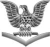 A single silver eagle, its beak facing to its right, perched upon a silver down-ward facing chevron.