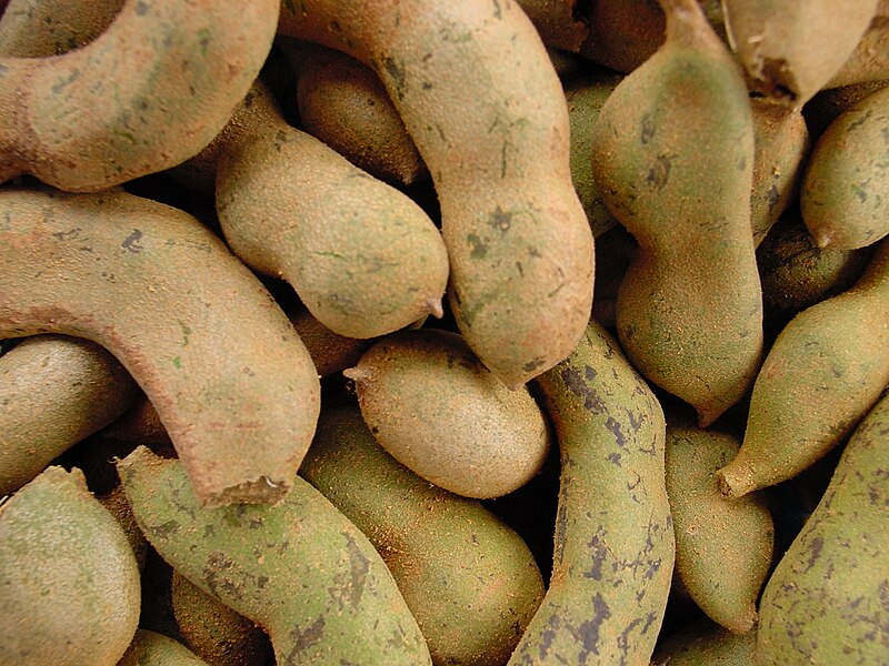 File:Tamarind2.jpg