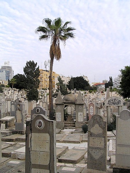 File:Trumpeldor Cemetery general.JPG