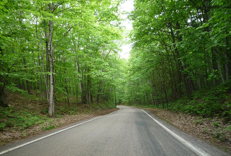 File:2009-0619-UP022-TunnelofTrees.jpg