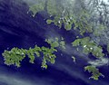 Hermite Islands (center) and Cape Horn (lower right) from space. Deceit Island lies right, out of the frame