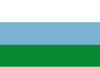 Flag of Nechí