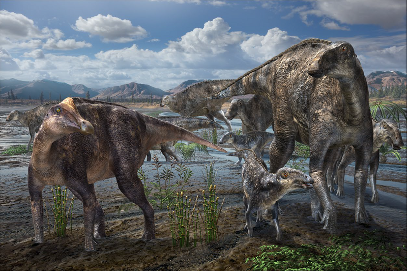 File:Liscomb Bonebed hadrosaurids.png