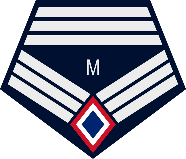 File:PAF MSGT FD.svg