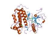 2itz: CRYSTAL STRUCTURE OF EGFR KINASE DOMAIN L858R MUTATION IN COMPLEX WITH IRESSA