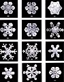 Snowflakes, by Wilson Bentley.