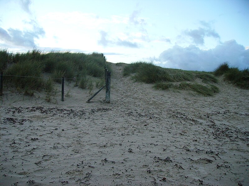 File:Studlandfencing.jpg