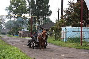 Болотное