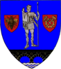 Coat of arms of Caraş-Severin