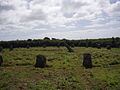 Image 23Boscawen-Un stone circle looking north (from History of Cornwall)