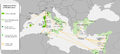 Expansion and influence of Pisa