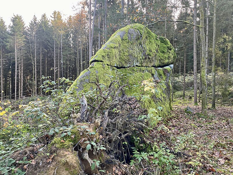 File:Gmünd Grillenstein Haifischstein 01.jpg