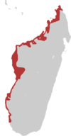 Distribución de Anas bernieri en la isla de Madagascar.