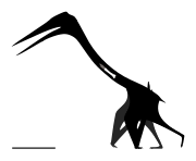 Skeletal (holotype)