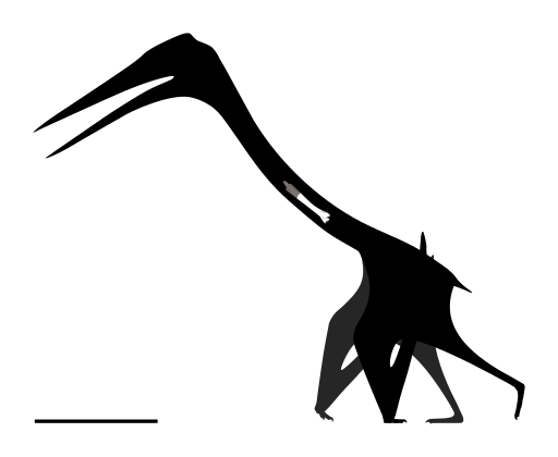 File:Nipponopterus Skeletal.svg