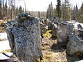 The Salpa Line anti-tank obstacles in Aholanvaara