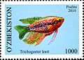 Image 12010 Uzbek stamp. Featuring a pearl gourami, which I have yet to have the pleasure of keeping.