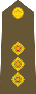 File:Tonga-Army-OF-2.svg