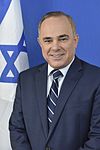 Yuval Steinitz