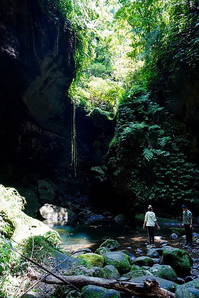 File:三民蝙蝠洞 Sanmin Bat Cave.jpg