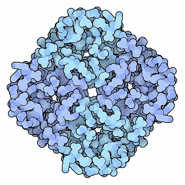 File:173-Aquaporin 1fqy.jpg