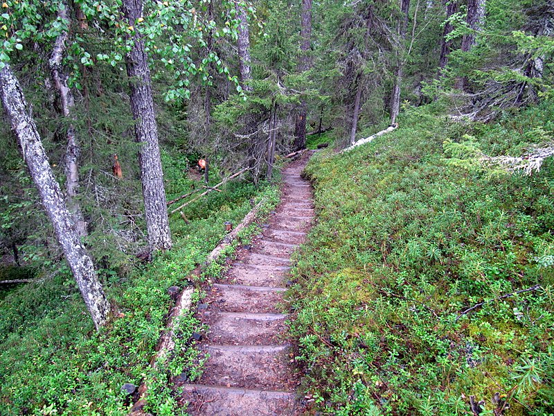 File:80km Karhunkierros Hiking Trail.jpg