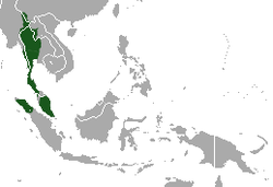 Distribución del gibón de manos blancas