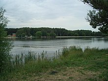 Meschersky Pond.jpg