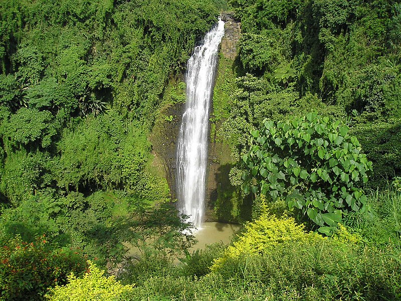 File:Ph bukidnon sumilao alalumfalls.jpg