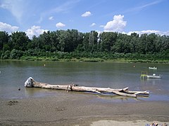 The Tisza is one of the main rivers of Central Europe.