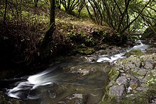 Wildcat Creek in 2011.jpg