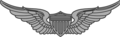 陸軍飛行員徽章（英語：United States Aviator Badge）（3個等級）