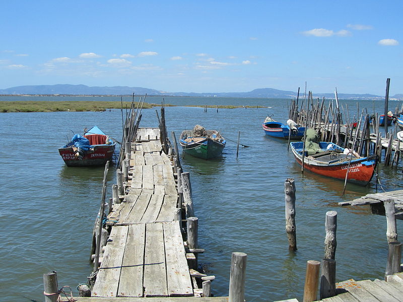 Archivo:Carrasqueira.JPG