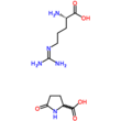 Arginine Pyroglutamate