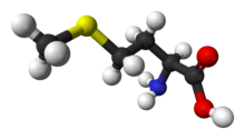 Ball-and-stick model of the L-isomer