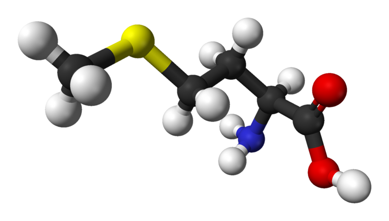 File:L-methionine-B-3D-balls.png