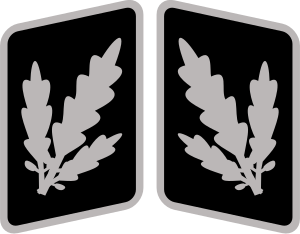 File:SS-Brigadeführer Collar Rank.svg