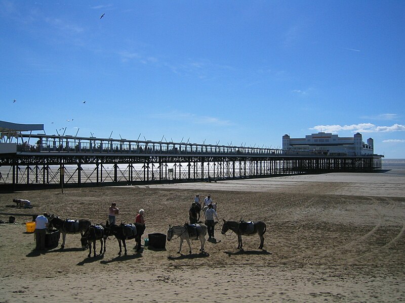 File:WestonPier.jpg